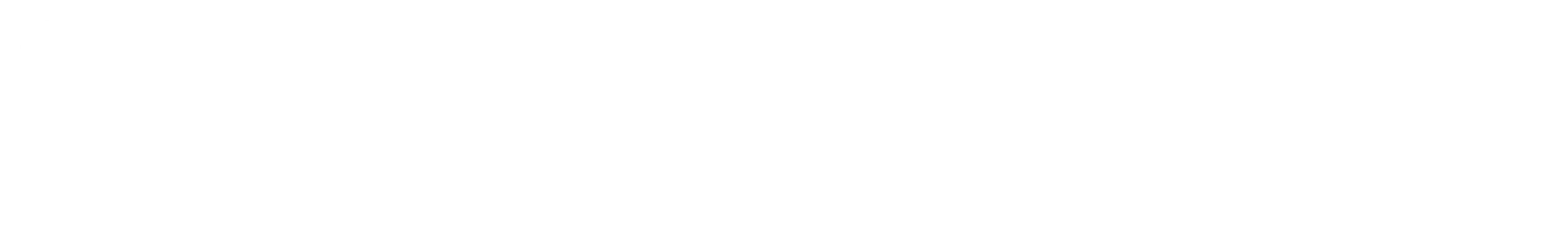 logo footer
